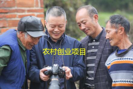 农村人没技术,没资金做这几个生意,养活一家人~第1张-全球主机测评网
