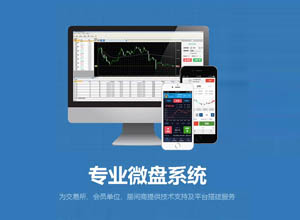 2022新版开源微交易股票配资+理/财系统整站源码，自动更新~附教程