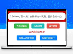 亲测云开发版短视频去水印和DIY加水印组合小程序源码