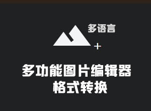 在线图片PS/视频多功能编辑器源码，支持图片格式转化和加水印~