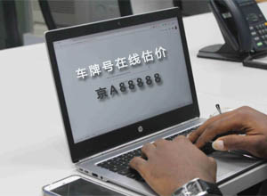最新车牌在线估价免费查询价值工具/网站单页PHP源码