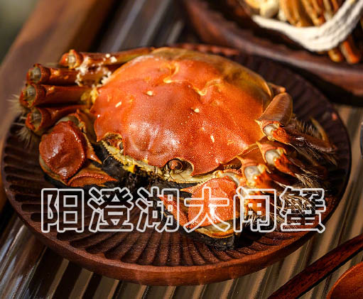 曾经中秋节“一蟹难求”的大闸蟹如今没人吃了?得知原因后醒悟!第1张-全球主机测评网