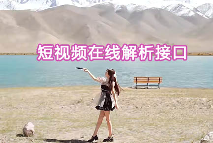 最新抖音无水印视频在线解析单页源码-本地API接口第1张-全球主机测评网
