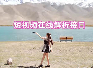 最新抖音无水印视频在线解析单页源码-本地API接口