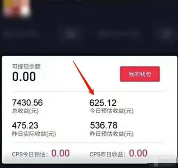 抖音+AI软件新项目:玩转美女自拍视频快速变现教程!第2张-全球主机测评网