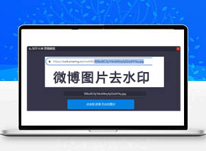 新浪微博最新图片免费一键解除去水印下载软件