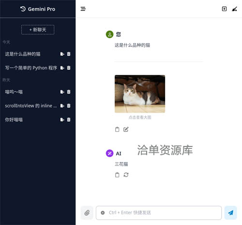 谷歌AI大模型ChatGemini-一款基于Google Gemini的网页客户端第2张-全球主机测评网