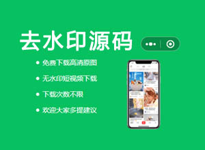 短视频在线免费去水印小程序源码，激励流量主+极客API接口