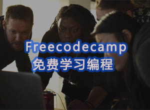 国外N个免费编程入门教程网站-FreeCodeCamp支持中文，简直是宝藏库