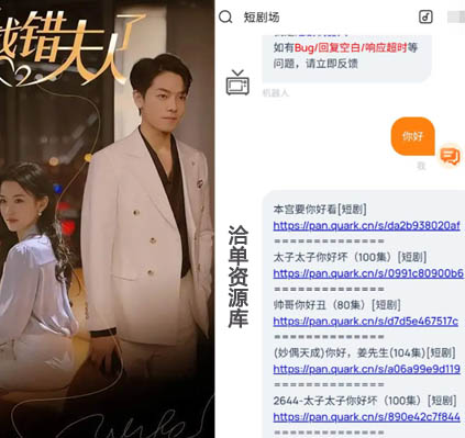 短视频/剧场H5机器人自动回复海量资源Demo源码(内置公益API接口)第1张-全球主机测评网