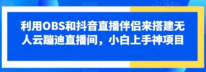 抖音无人直播项目:OBS+直播伴侣实现无人云蹦迪直播间教程第1张-全球主机测评网